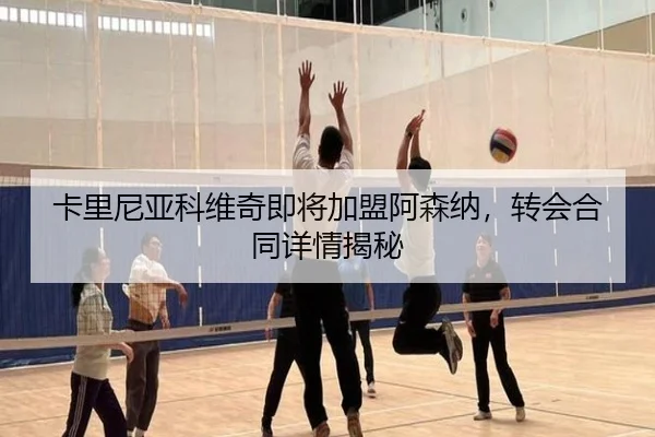 卡里尼亚科维奇即将加盟阿森纳，转会合同详情揭秘 - milesports